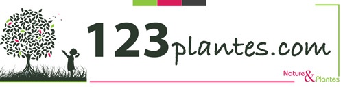 Logo du site 123plantes.com