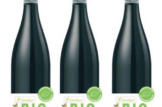 Vin primeur, envie de vous renseigner un peu sur la question ? Vin primeur, envie de vous renseigner un peu sur la question ?